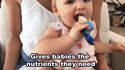 Sway Baby Fruit Pacifier Feeder – Soft Silicone Teether & Nibbler | Buy 1 Get 1 Free Today Only